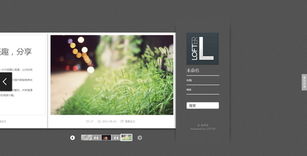 網(wǎng)頁(yè)設(shè)計(jì)與開(kāi)發(fā) 以網(wǎng)站核心內(nèi)容為中心的藝術(shù)與科學(xué)